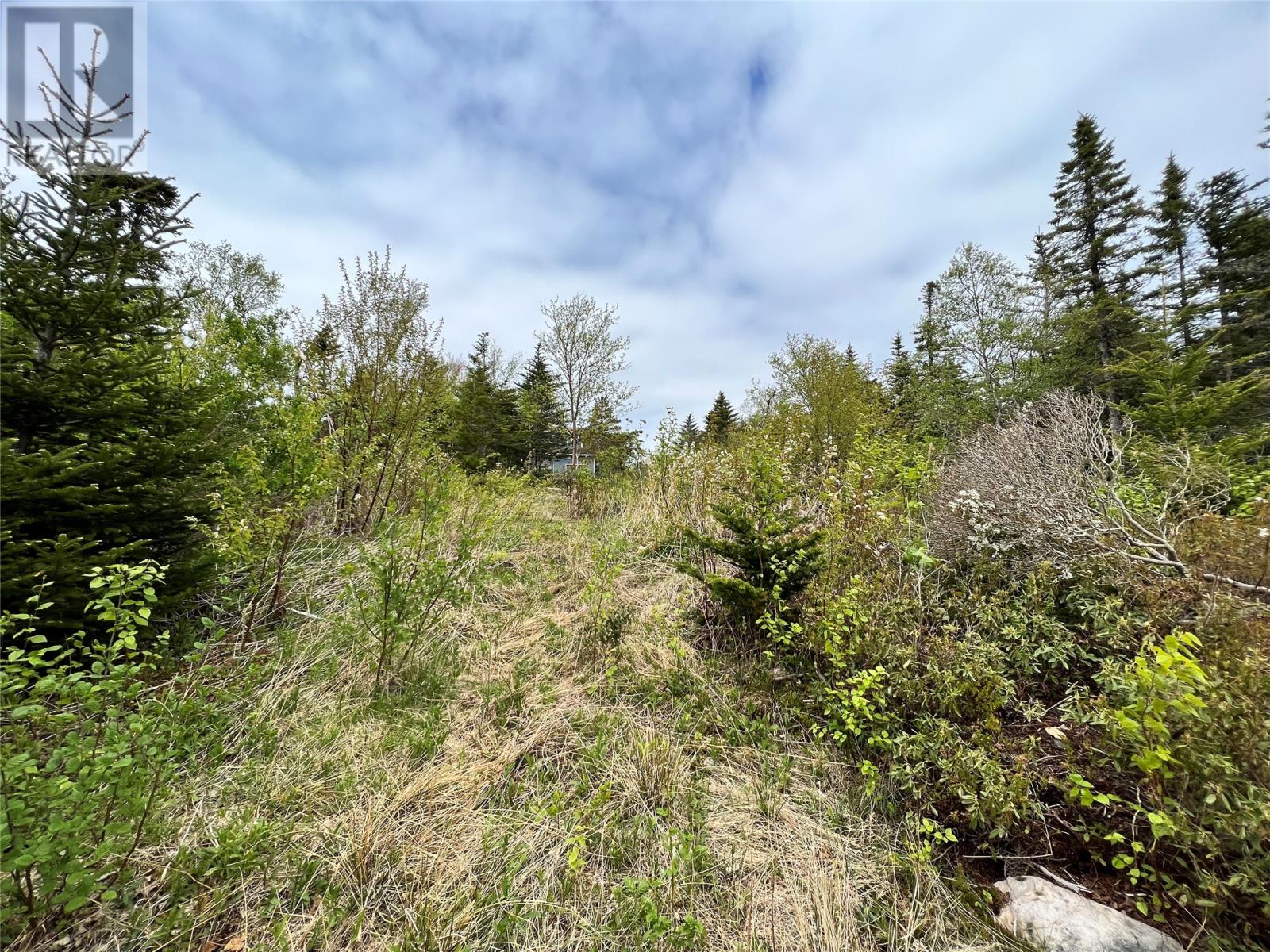 18 Whiskey Hill, Bay Roberts — photo 13