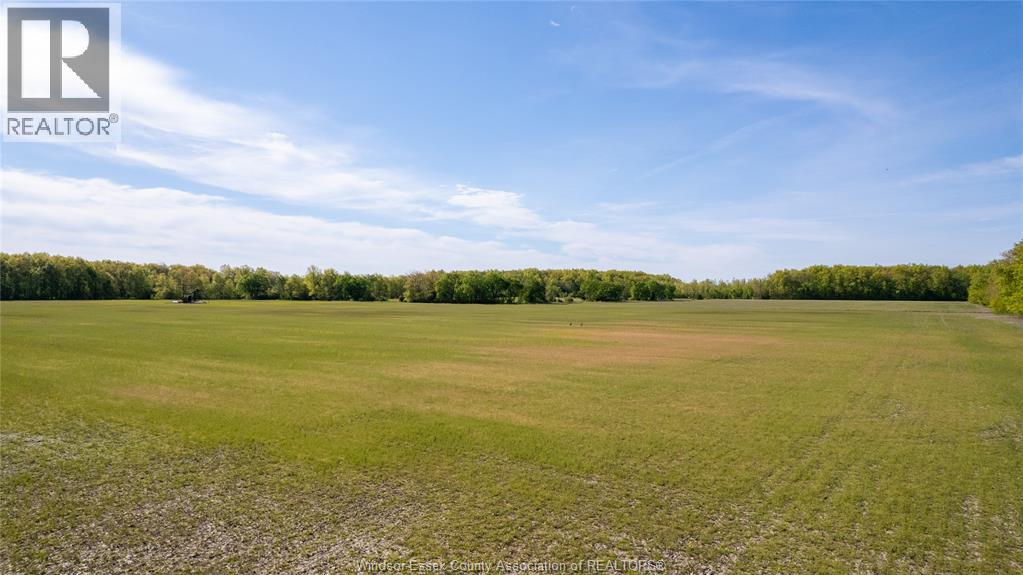 V/l Concession 5, Essex, Ontario  N0R 1G0 - Photo 11 - 26011375
