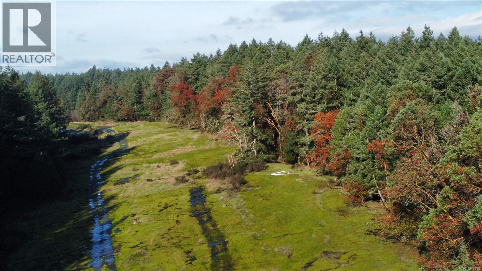 3850 Yellow Point Rd, Nanaimo, British Columbia  V9G 1E9 - Photo 11 - 1046989