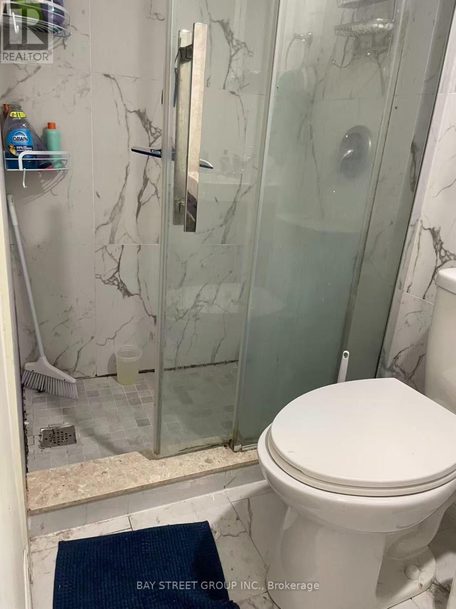 Bsmt - 191 Pleasant Avenue, Toronto, Ontario  M2M 1M4 - Photo 12 - C13674342