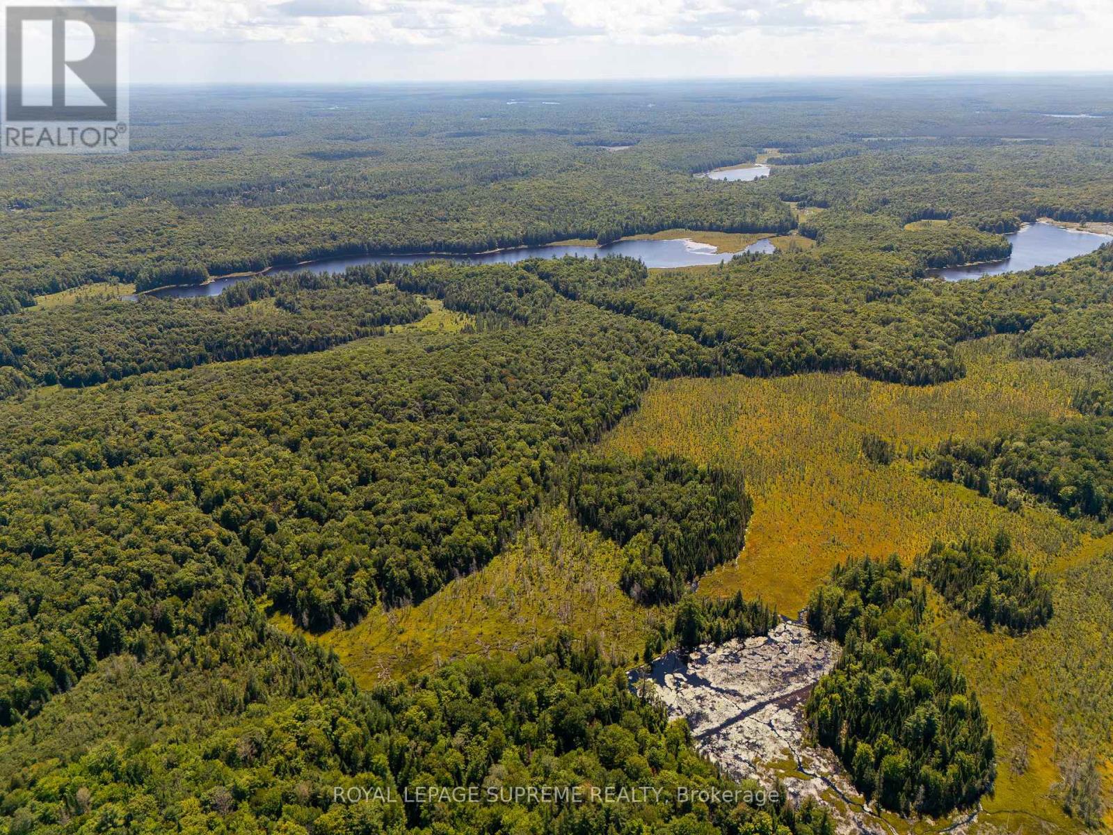 L13c6br Huntsville, Huntsville, Ontario  P1H 2J3 - Photo 2 - X13645954