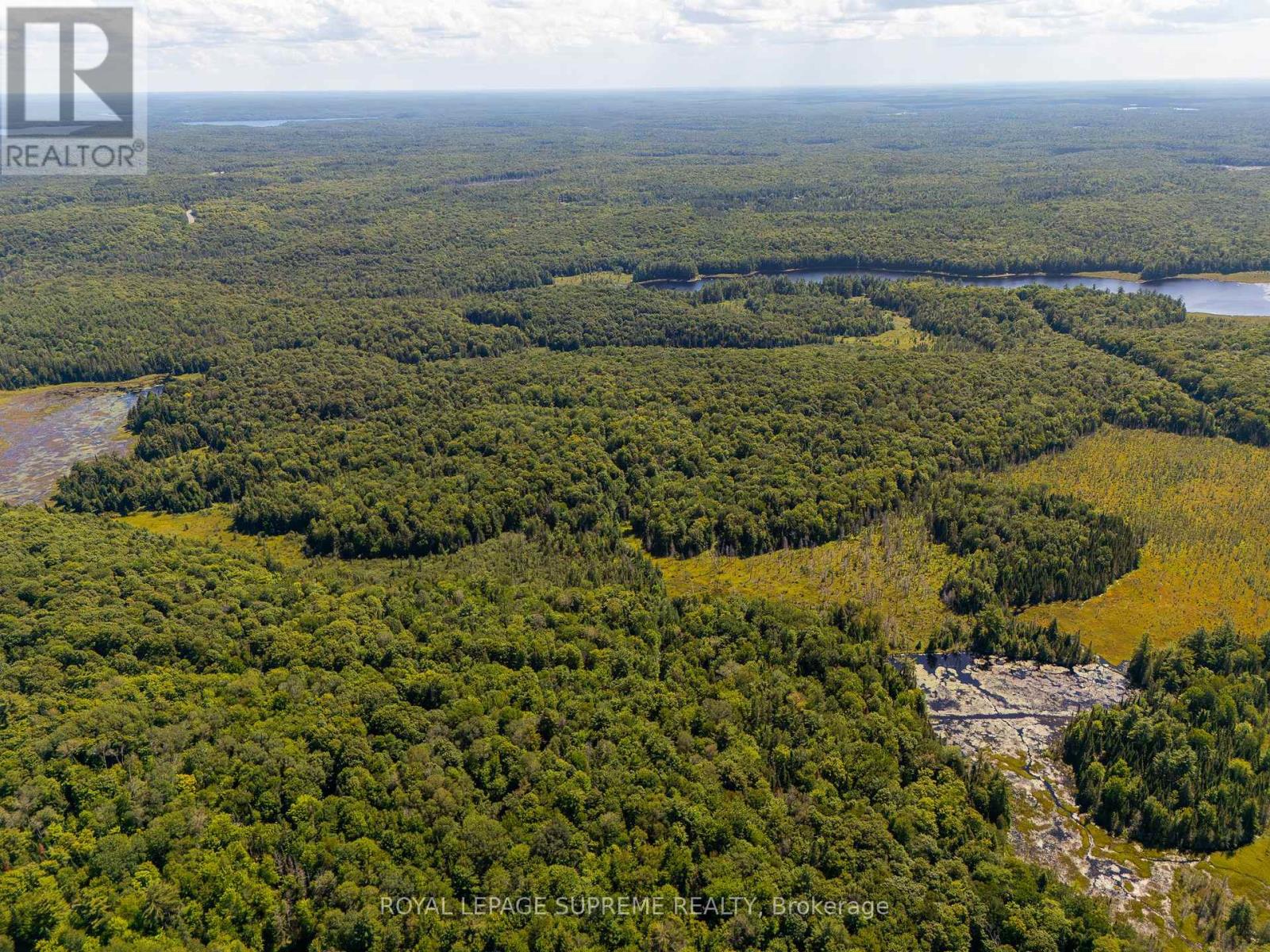 L13c6br Huntsville, Huntsville, Ontario  P1H 2J3 - Photo 3 - X13645954