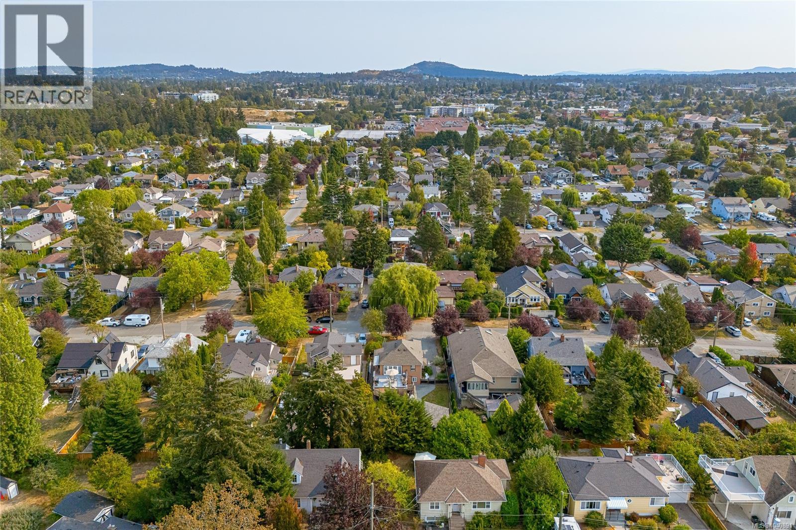 367 Vincent Ave, Saanich, British Columbia  V9A 2G8 - Photo 65 - 1040891