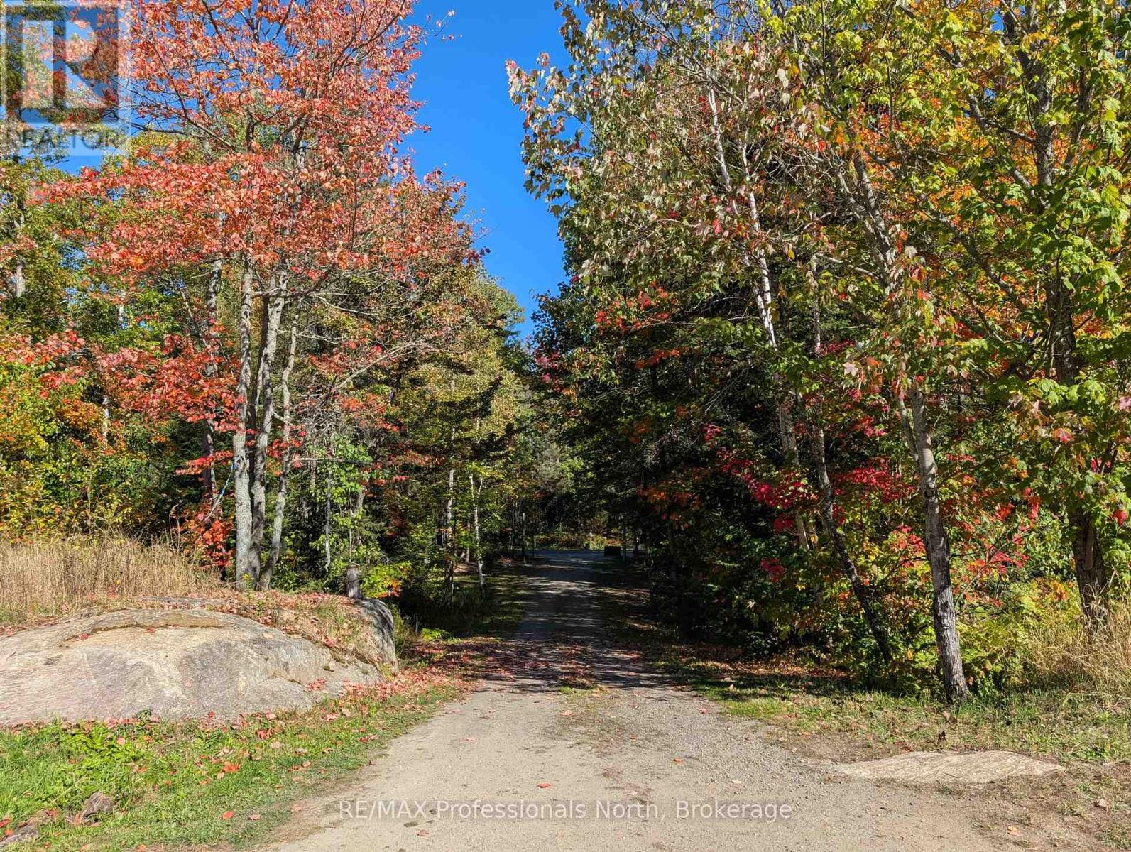 1408 Pearceley Road, Parry Sound Remote Area, Ontario  P0A 1Z0 - Photo 26 - X13160440