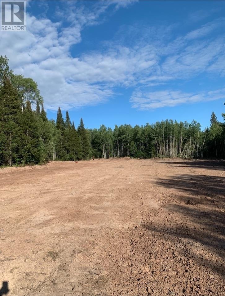 464 Union School Rd S, Neebing, Ontario  P7L 0G2 - Photo 7 - TB2601140