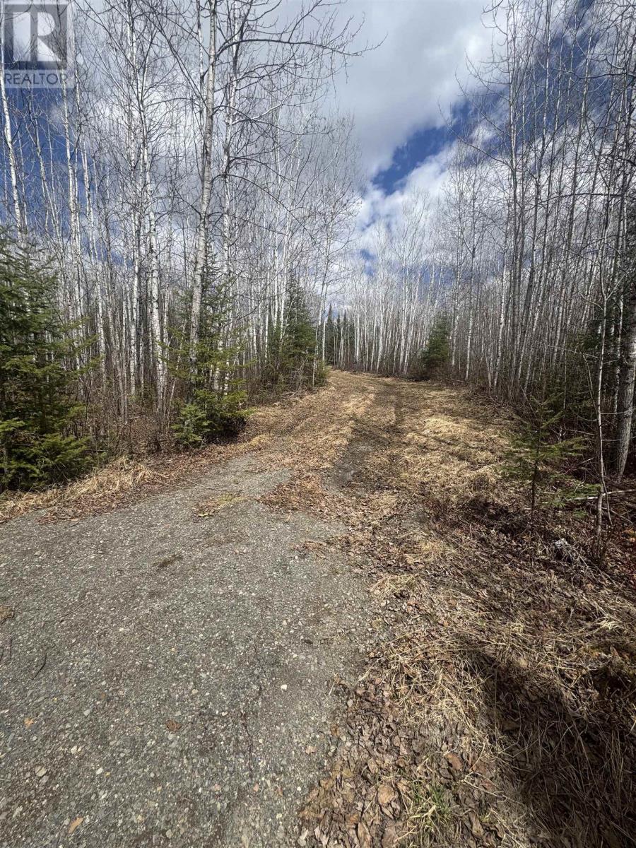 464 Union School Rd S, Neebing, Ontario  P7L 0G2 - Photo 2 - TB2601140