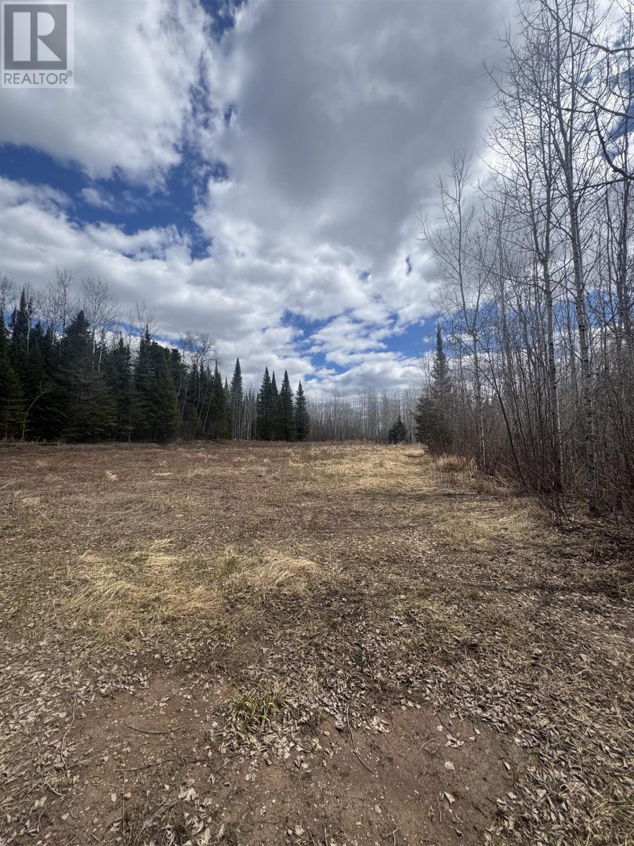 464 Union School Rd S, Neebing, Ontario  P7L 0G2 - Photo 4 - TB2601140