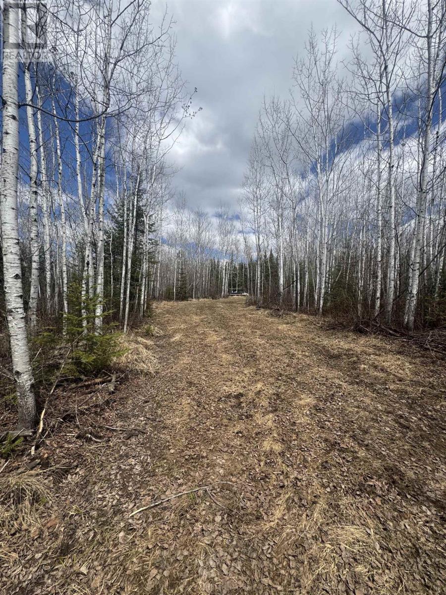 464 Union School Rd S, Neebing, Ontario  P7L 0G2 - Photo 3 - TB2601140