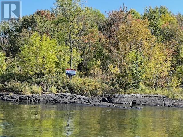 G 734 Rainy Lake, Fort Frances, Ontario  P9A 3M3 - Photo 23 - TB2601165