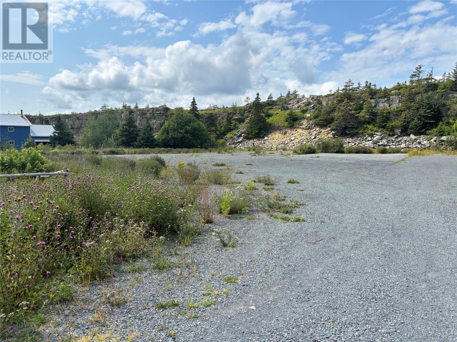 695 Water Street, Bay Roberts — photo 7