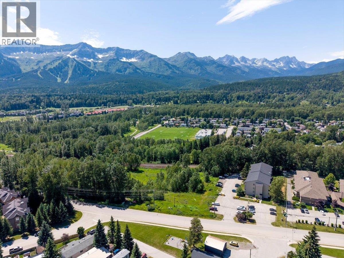 65 Cokato Road Unit# 209, Fernie, British Columbia  V0B 1M4 - Photo 3 - 10393771