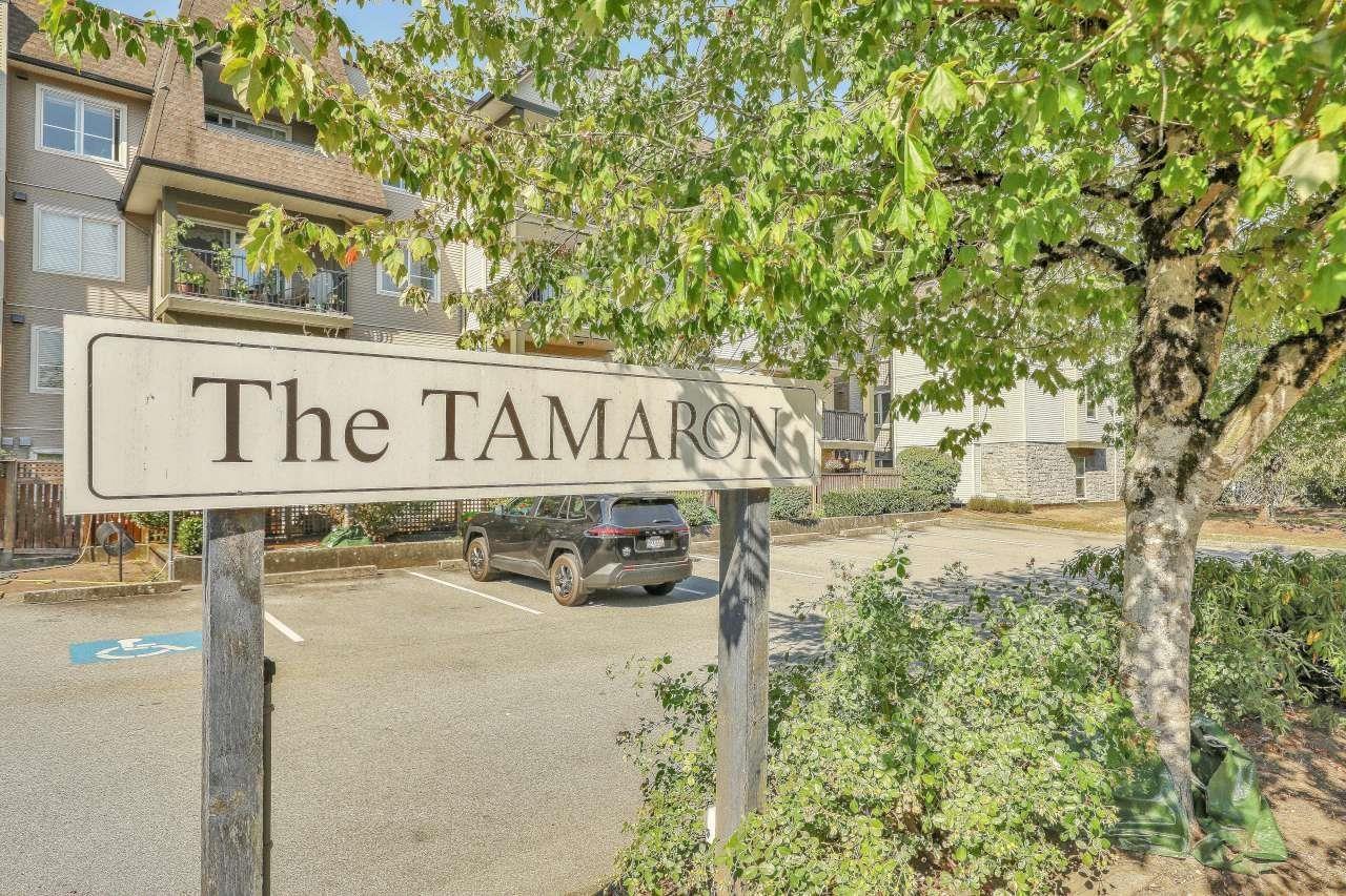 419 12083 92a Avenue, Surrey, British Columbia  V3V 8C8 - Photo 1 - R3156235