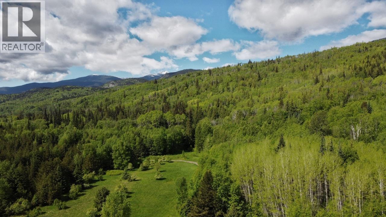 Dl 847 Lot-A & 3 Cedarvale-Kitwanga Road, Kitwanga, British Columbia  V0J 2A0 - Photo 8 - R3125390