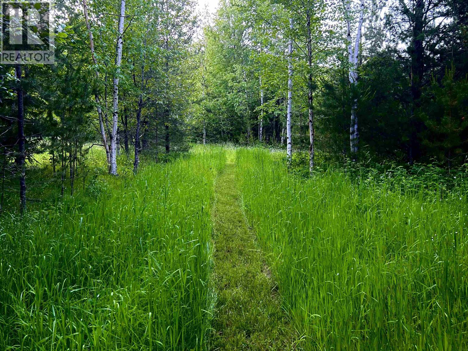 Dl 847 Lot-A & 3 Cedarvale-Kitwanga Road, Kitwanga, British Columbia  V0J 2A0 - Photo 10 - R3125390