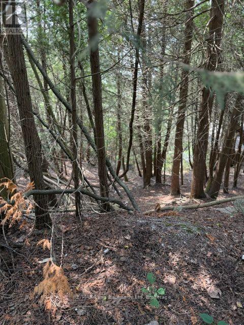 Lot 4 Plan 590 Cedar Bank Lane W, Ashfield-Colborne-Wawanosh, Ontario  N7A 3X9 - Photo 7 - X13655712