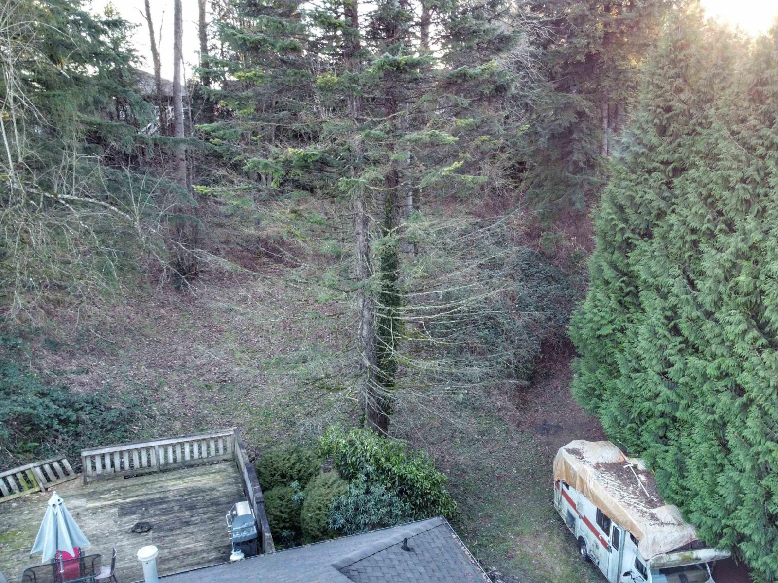 32492 Cherry Avenue, Mission, British Columbia  V2V 2T6 - Photo 32 - R3155979