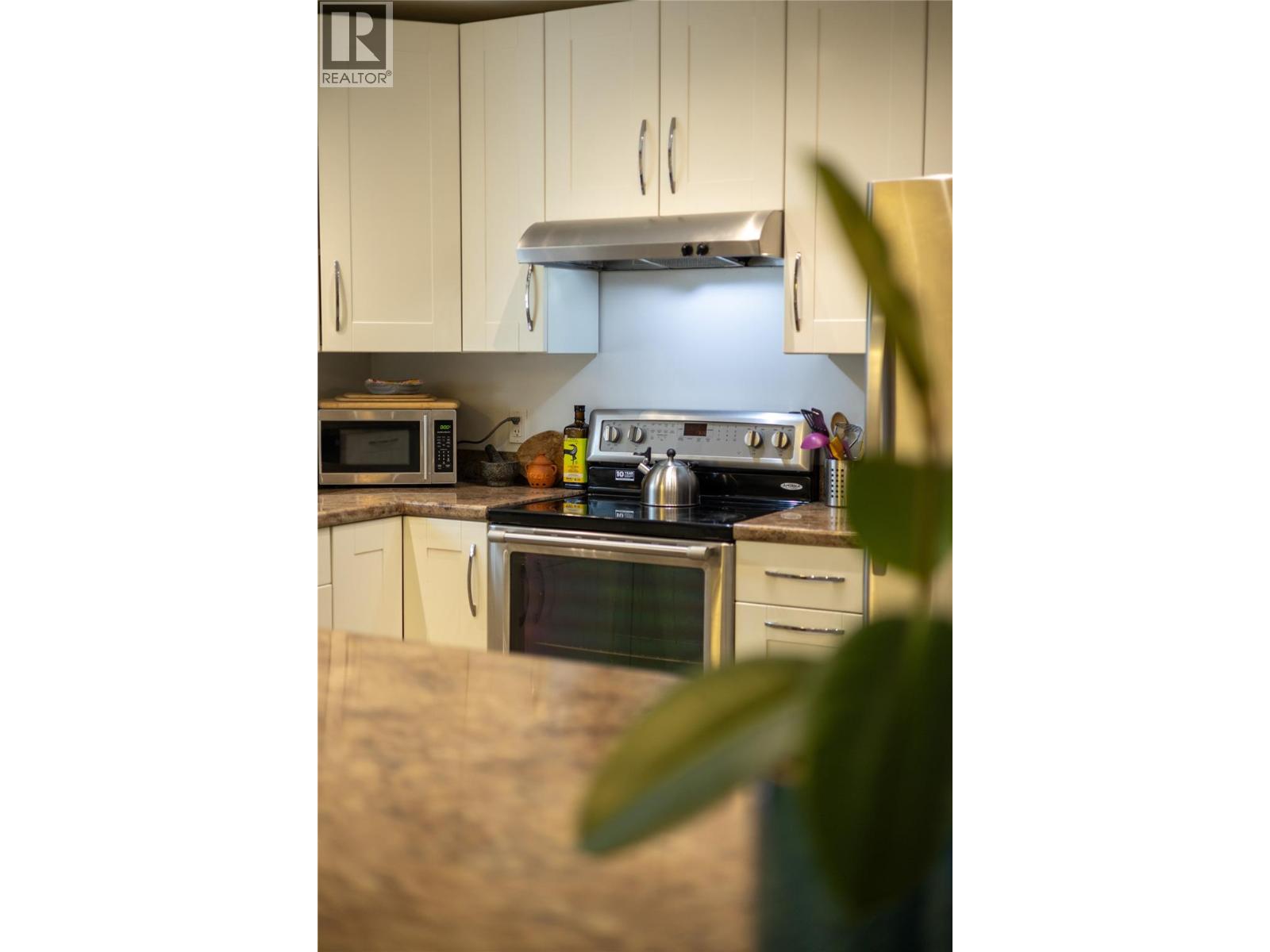 1007 Fourth Street, Nelson, British Columbia  V1L 2T5 - Photo 65 - 10397765