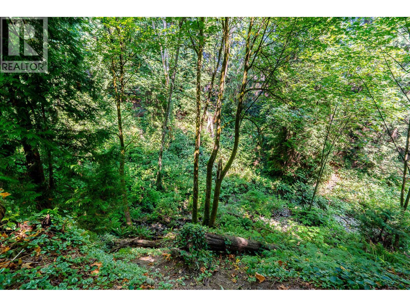 241b Evergreen Drive, Port Moody, British Columbia  V3H 1S1 - Photo 26 - R3156259