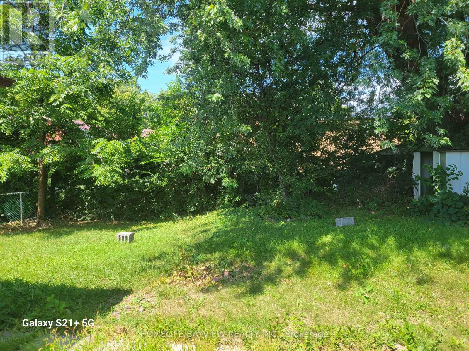 68 Broadoaks(Main Floor Only) Drive, Toronto, Ontario  M3J 1E4 - Photo 16 - W13683498