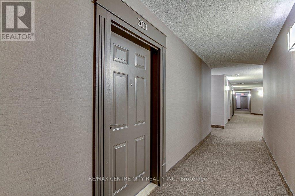 203 - 549 Ridout Street N, London East, Ontario  N6A 5N5 - Photo 18 - X13683734