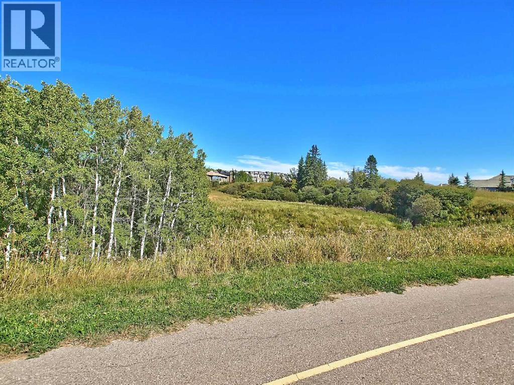 46 Spring View Sw, Calgary, Alberta  T3H 3S7 - Photo 38 - A2331902