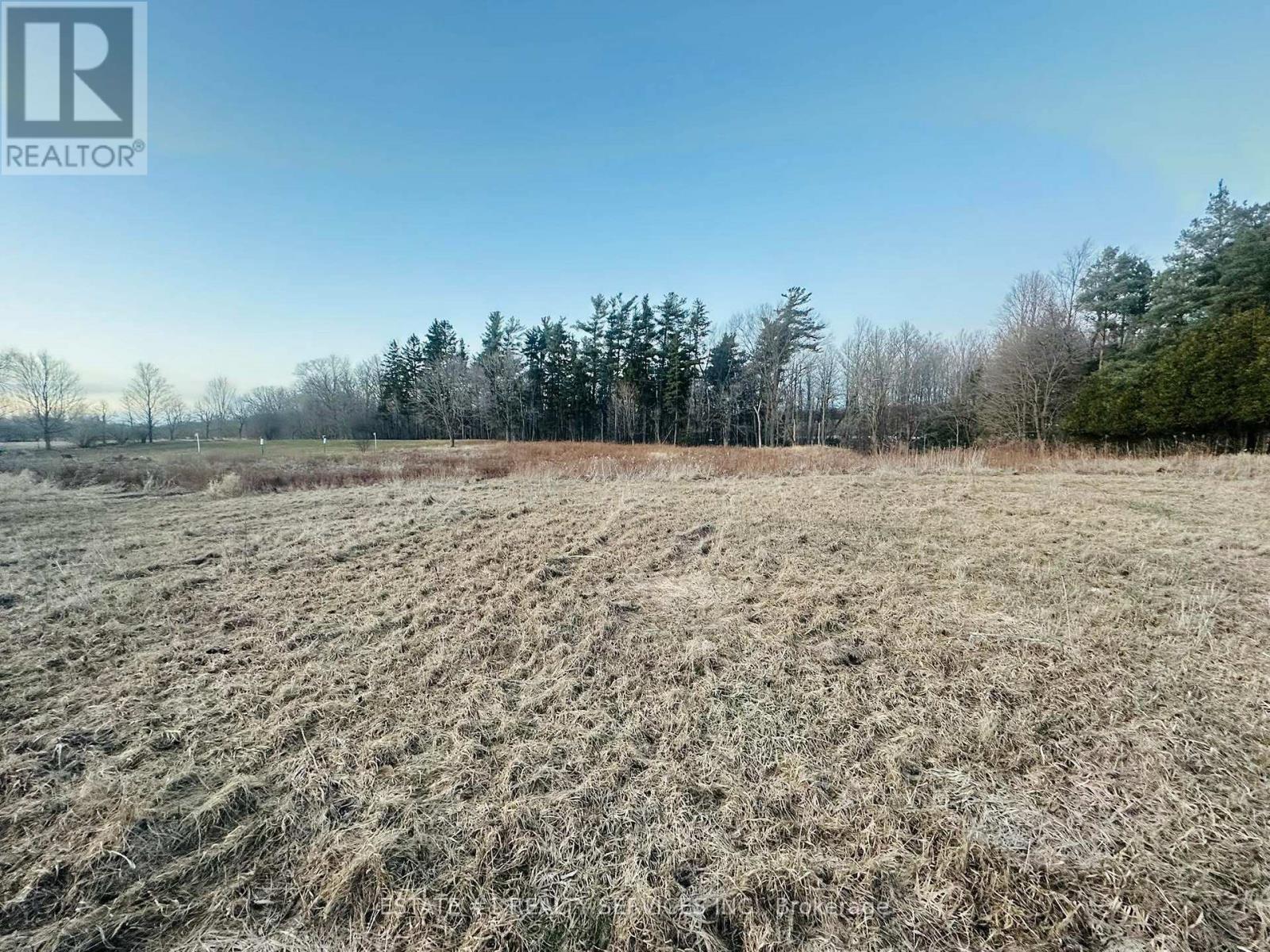 10231 Old Pinecrest Road, Brampton, Ontario  L7A 0A4 - Photo 3 - W13683630