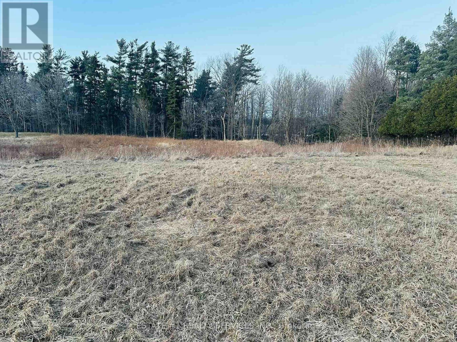 10231 Old Pinecrest Road, Brampton, Ontario  L7A 0A4 - Photo 5 - W13683630