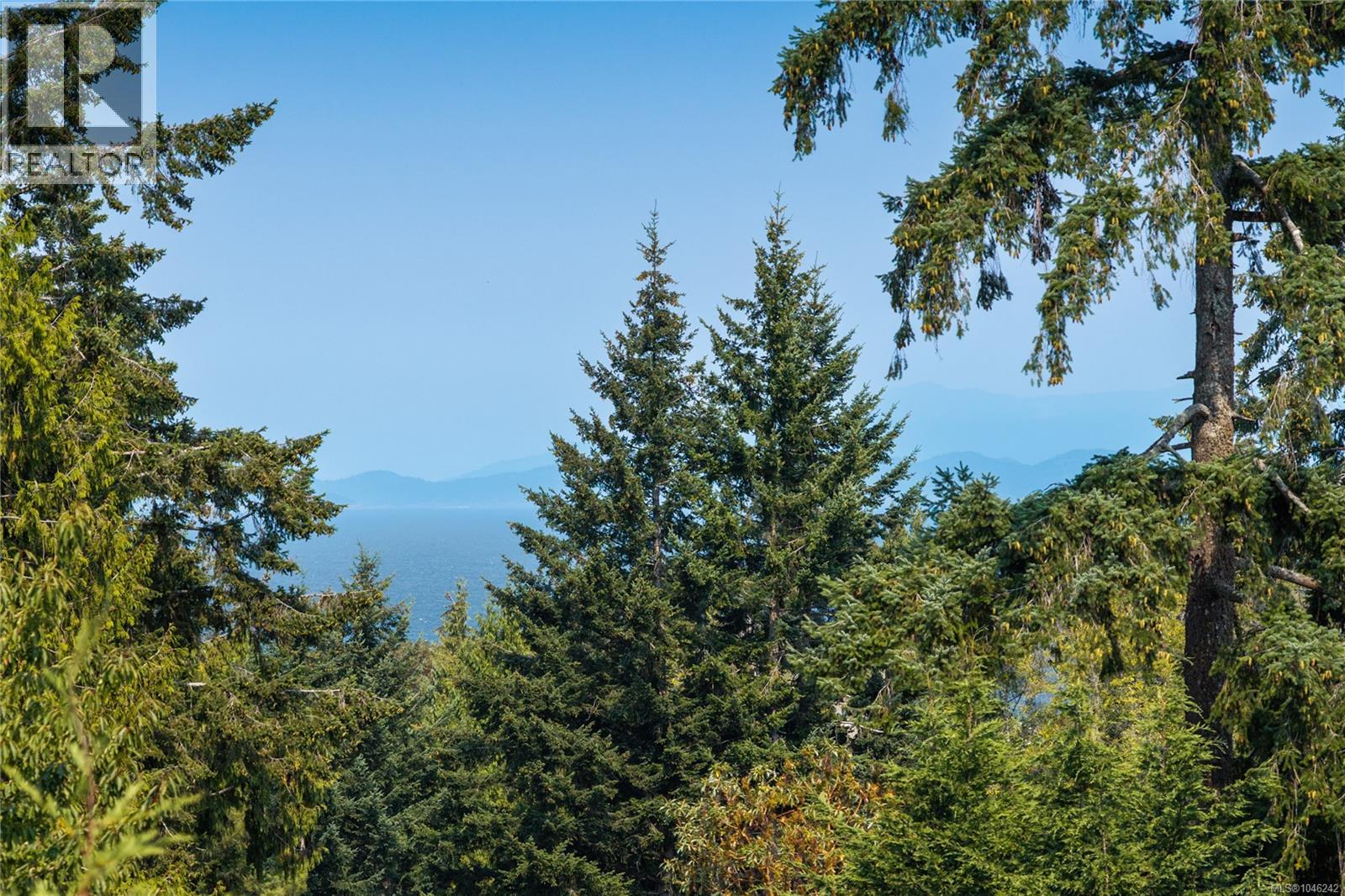 picture 40