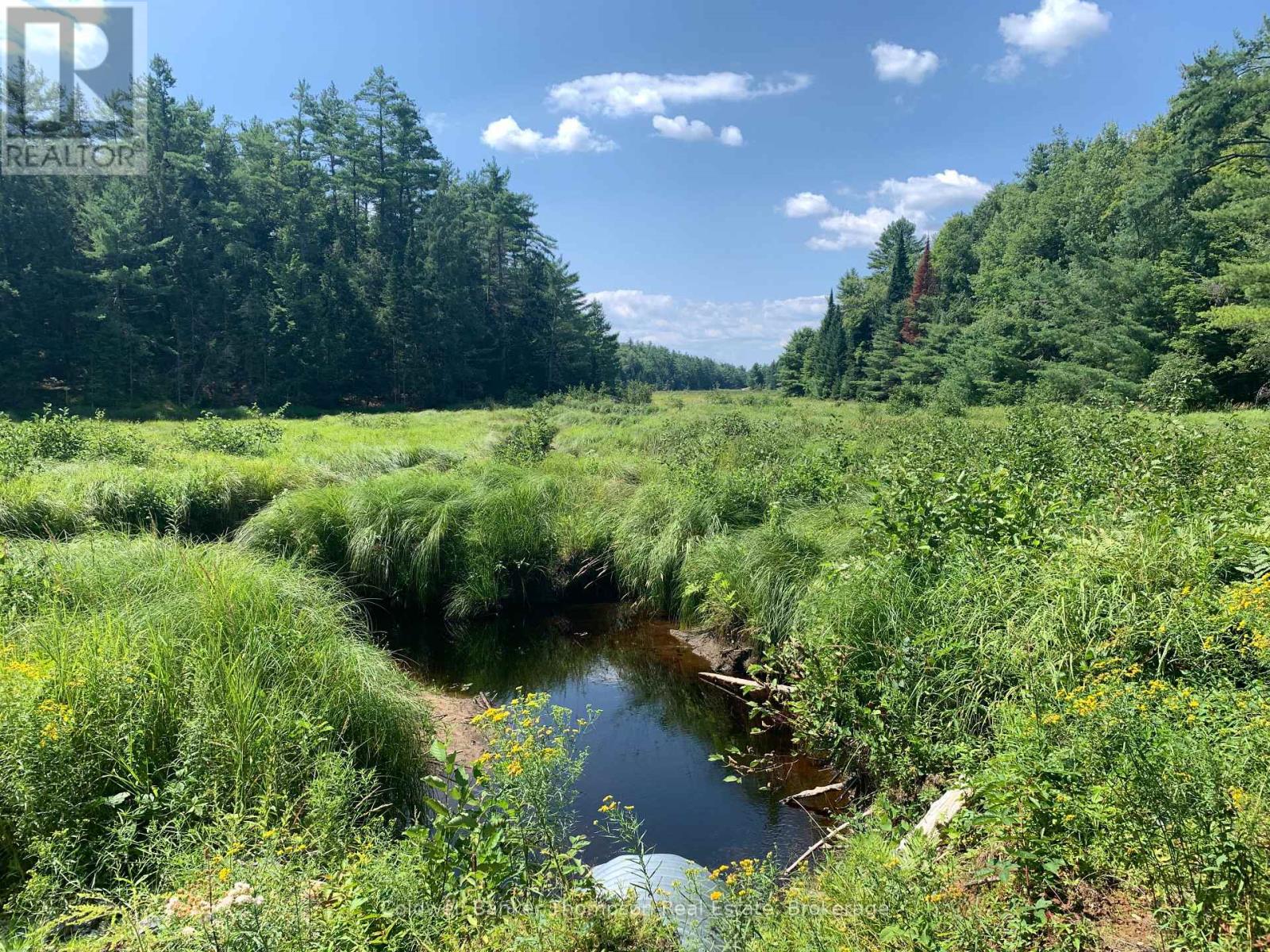 Lt17&18 Con8 & Lt18 Con 9 Carlsmount Road, Bracebridge, Ontario P1L 1X1 - Photo 13 - X13683838