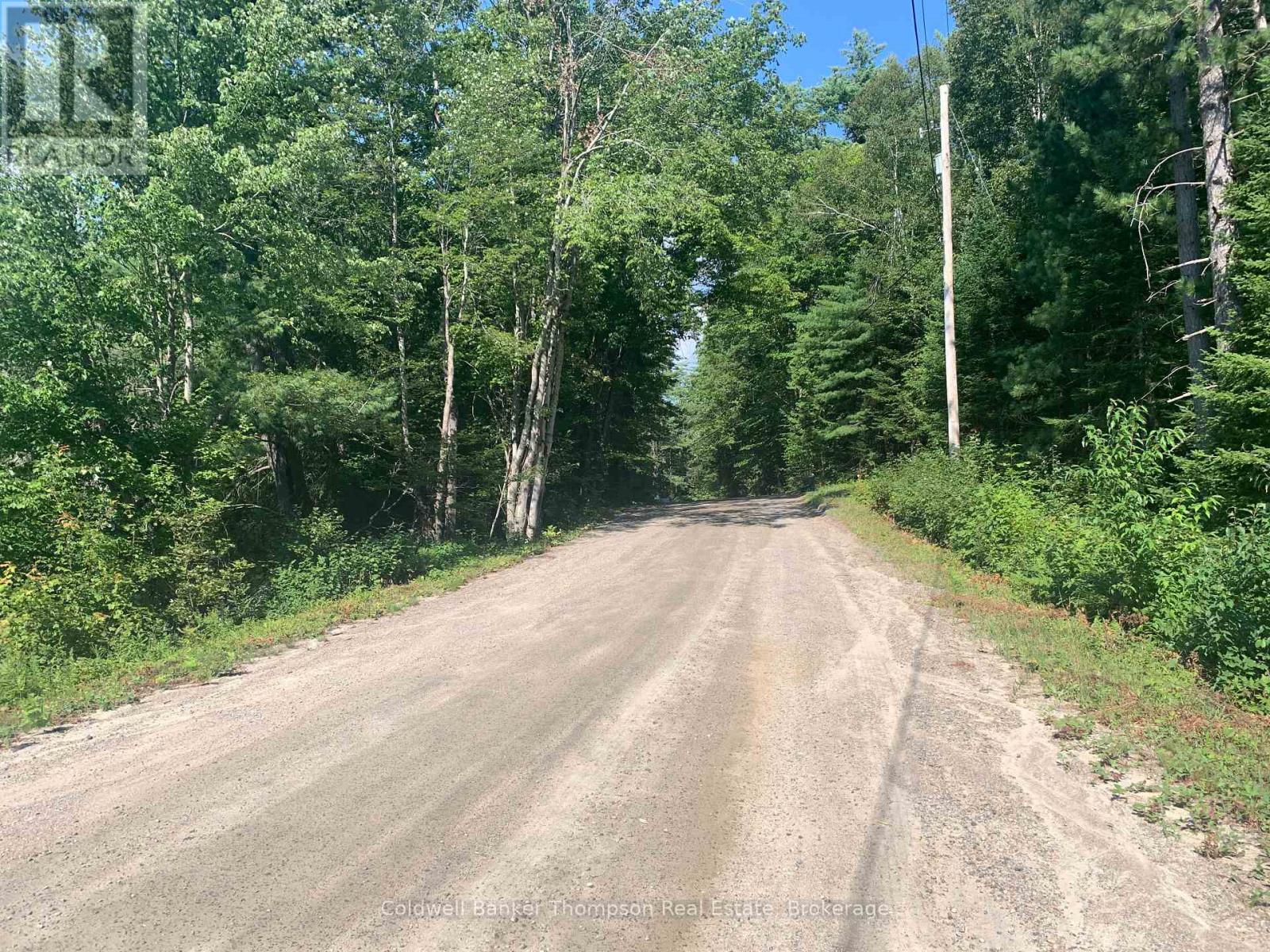 Lt17&18 Con8 & Lt18 Con 9 Carlsmount Road, Bracebridge, Ontario P1L 1X1 - Photo 19 - X13683838