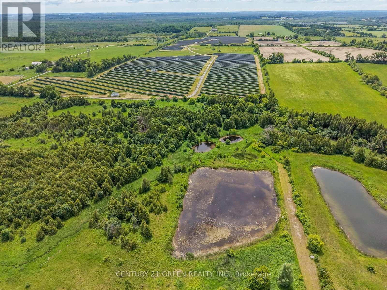 7265 Old Homestead Road, Georgina, Ontario  L0E 1N0 - Photo 46 - N13683820