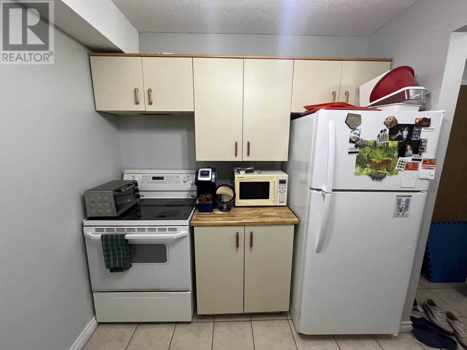 160 725 James Street S, Thunder Bay, Ontario  P7E 6N3 - Photo 10 - TB2602380