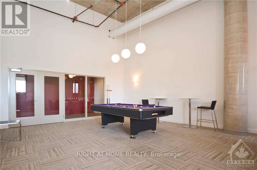 325 - 354 Gladstone Avenue, Ottawa, Ontario  K2P 0R4 - Photo 23 - X13684172