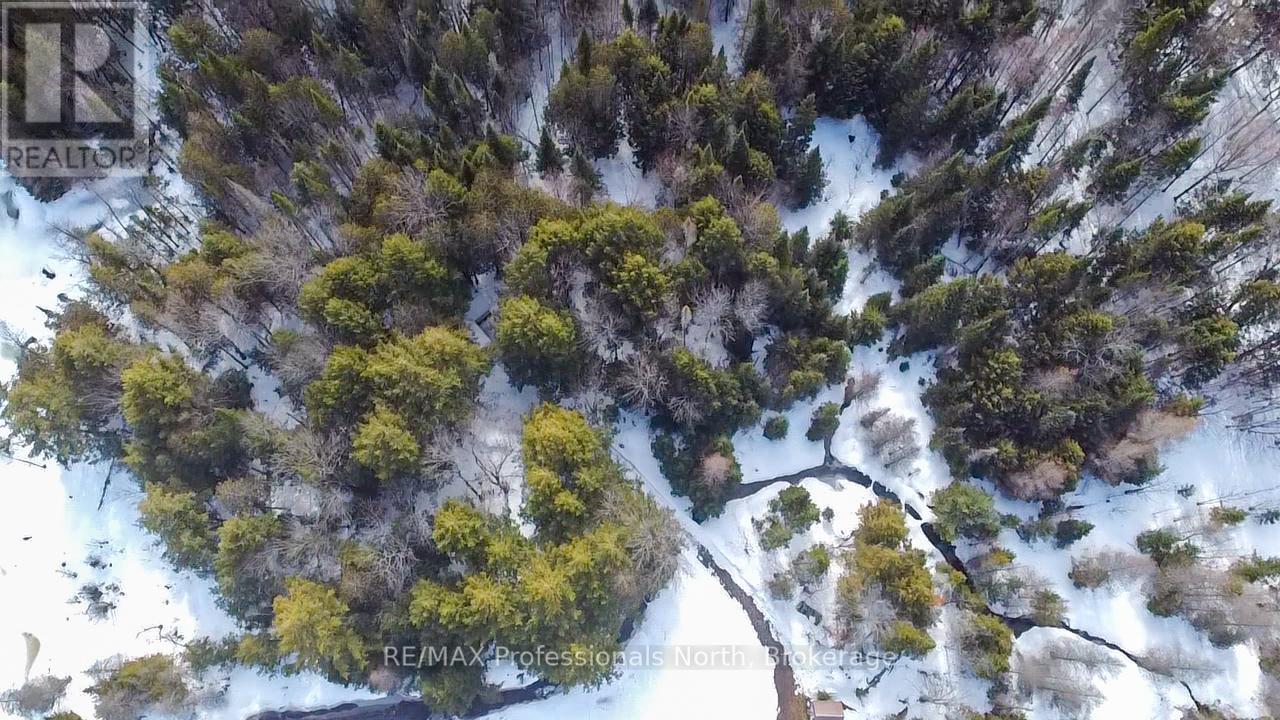 2315 Aspdin Road, Huntsville (Stisted), Ontario  P0B 1M0 - Photo 33 - X13683972