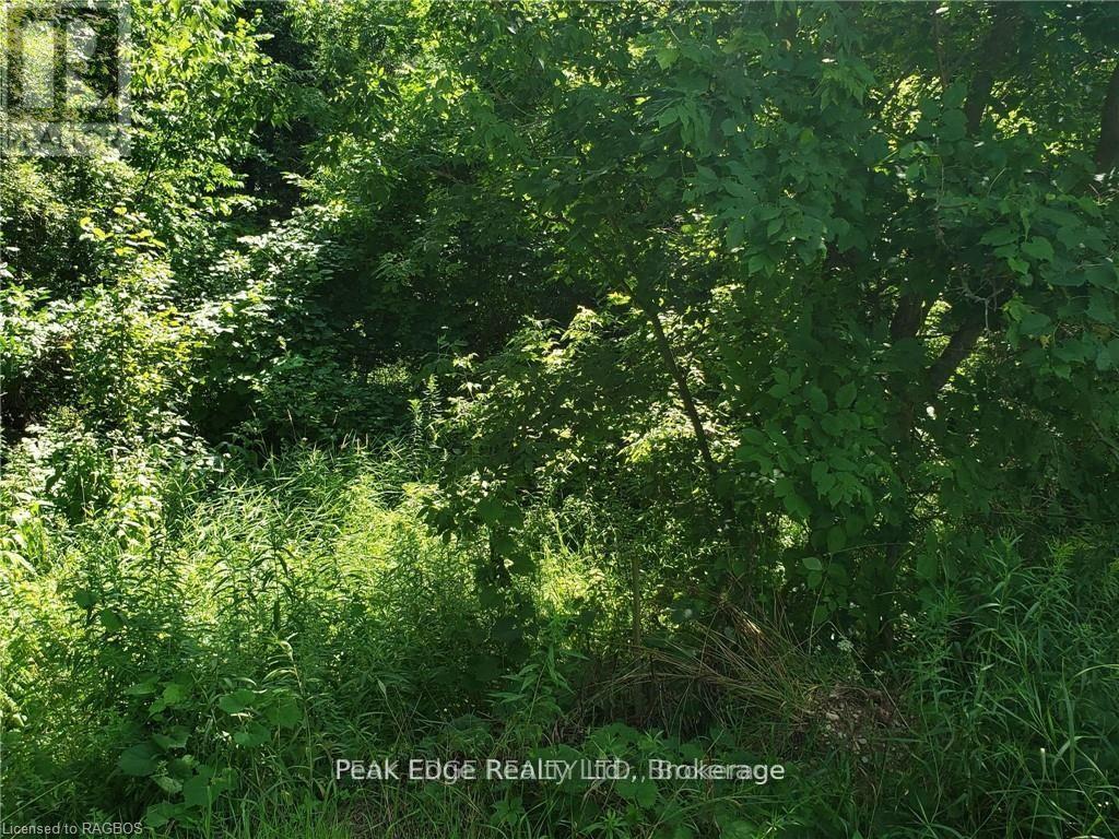 Part Lot 28 12 Concession S, Arran-Elderslie, Ontario  N0H 1L0 - Photo 3 - X13683988