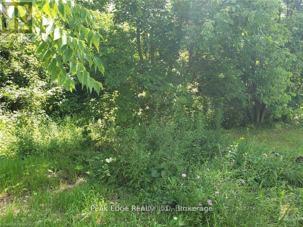 Part Lot 28 12 Concession S, Arran-Elderslie, Ontario  N0H 1L0 - Photo 6 - X13683988