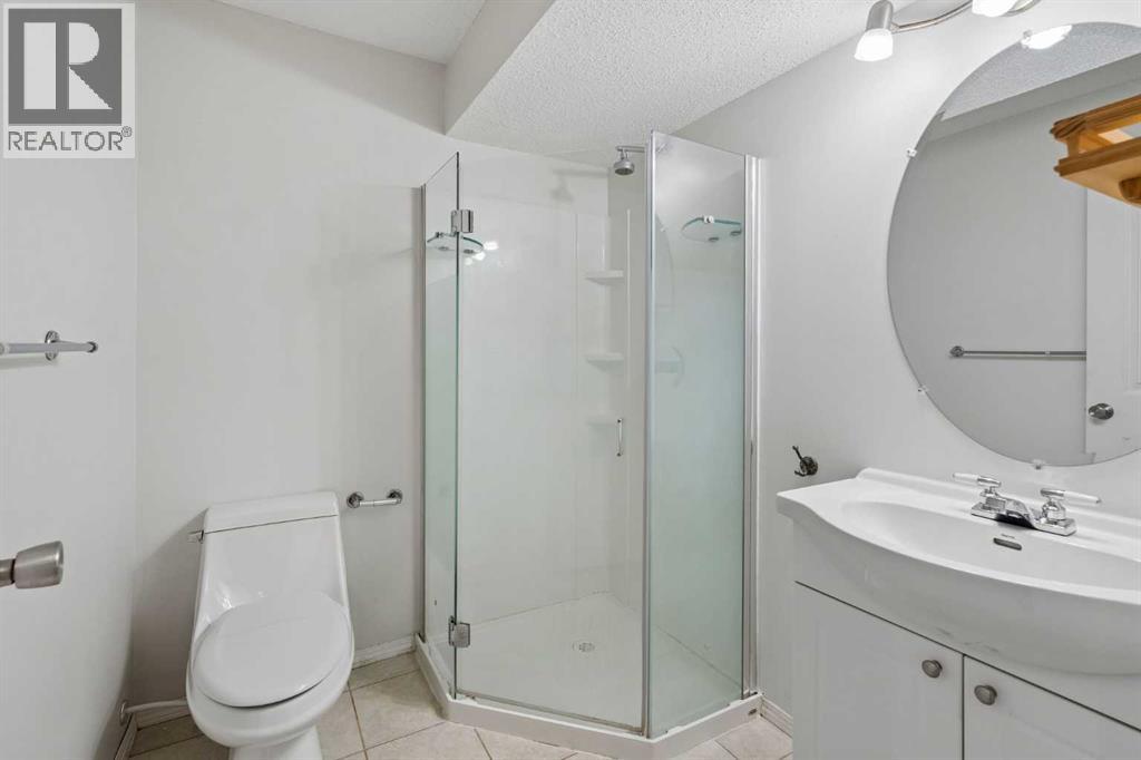 22 Somerside Crescent SW, Calgary, Alberta  T2V 5R4 - Photo 33 - A2335848