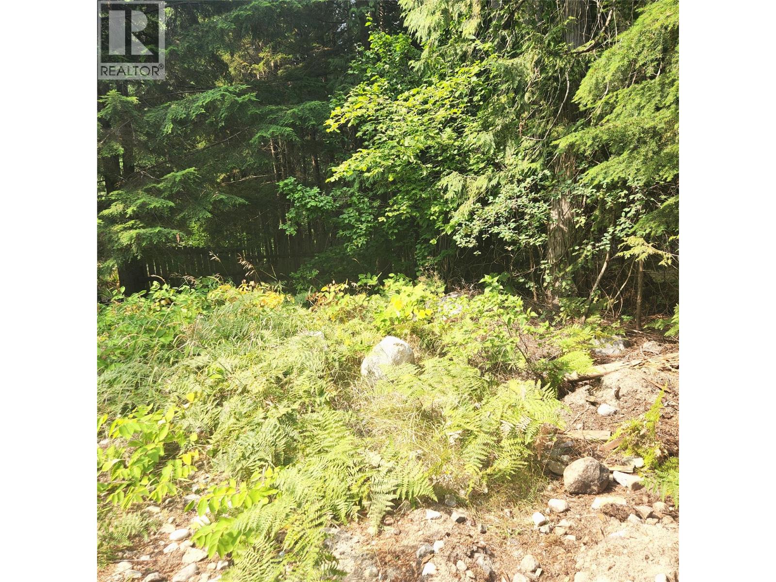 1111 Harold Street, Slocan, British Columbia V0G 2C0 - Photo 2 - 10397909