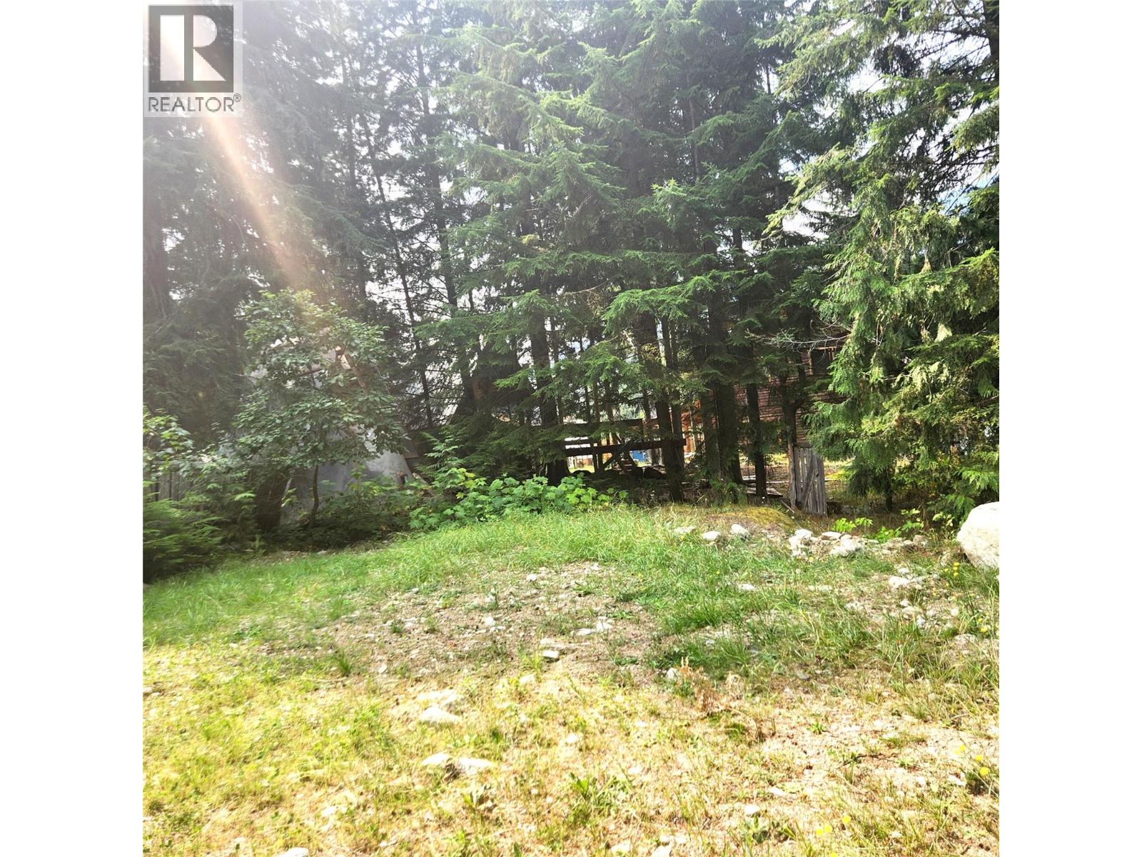1111 Harold Street, Slocan, British Columbia V0G 2C0 - Photo 3 - 10397909