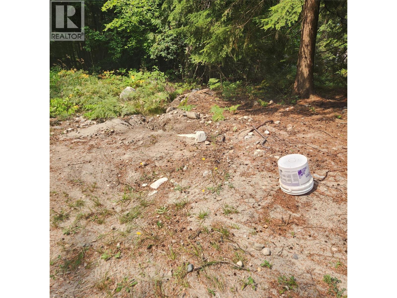 1111 Harold Street, Slocan, British Columbia V0G 2C0 - Photo 5 - 10397909