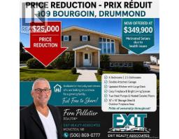 109 Bourgoin Street, Drummond, New Brunswick
