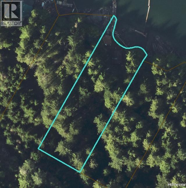 4 South Of Debeck Creek, Pitt Meadows, British Columbia  V0V 0V0 - Photo 18 - R3156363