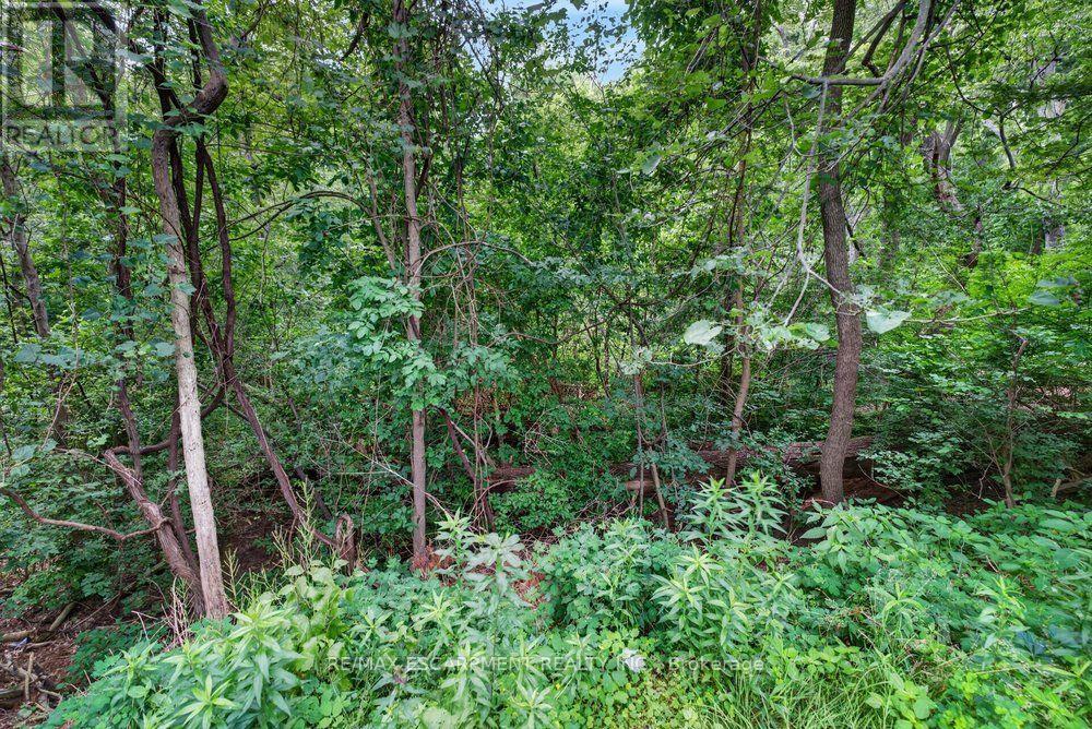 230 Morrison Road, Oakville, Ontario  L6J 4J4 - Photo 5 - W13538440