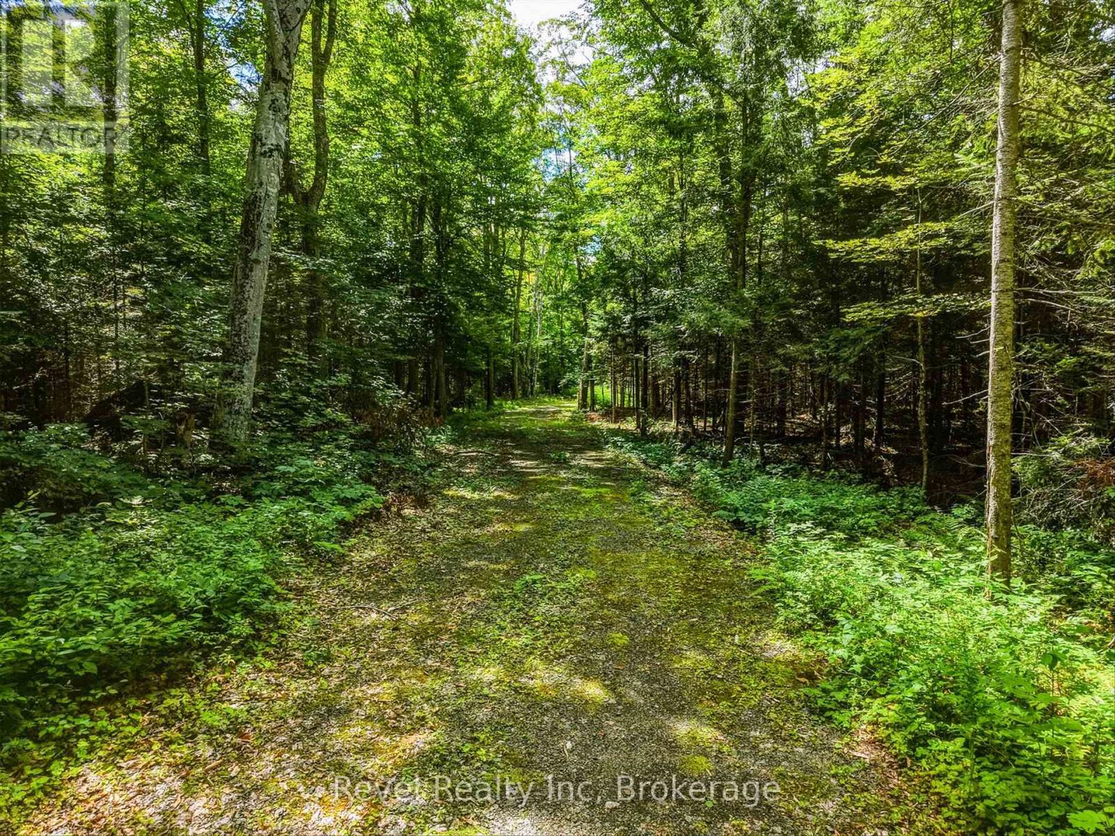 1054 Bird Lake Road, Bracebridge, Ontario  P1L 1X1 - Photo 10 - X13684186