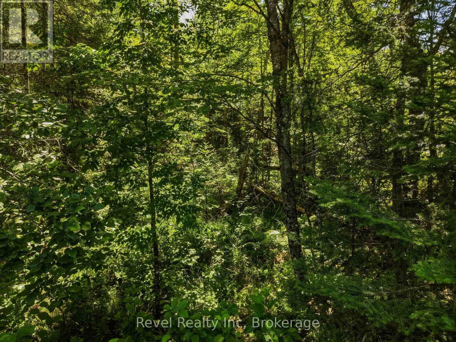 1054 Bird Lake Road, Bracebridge, Ontario  P1L 1X1 - Photo 15 - X13684186