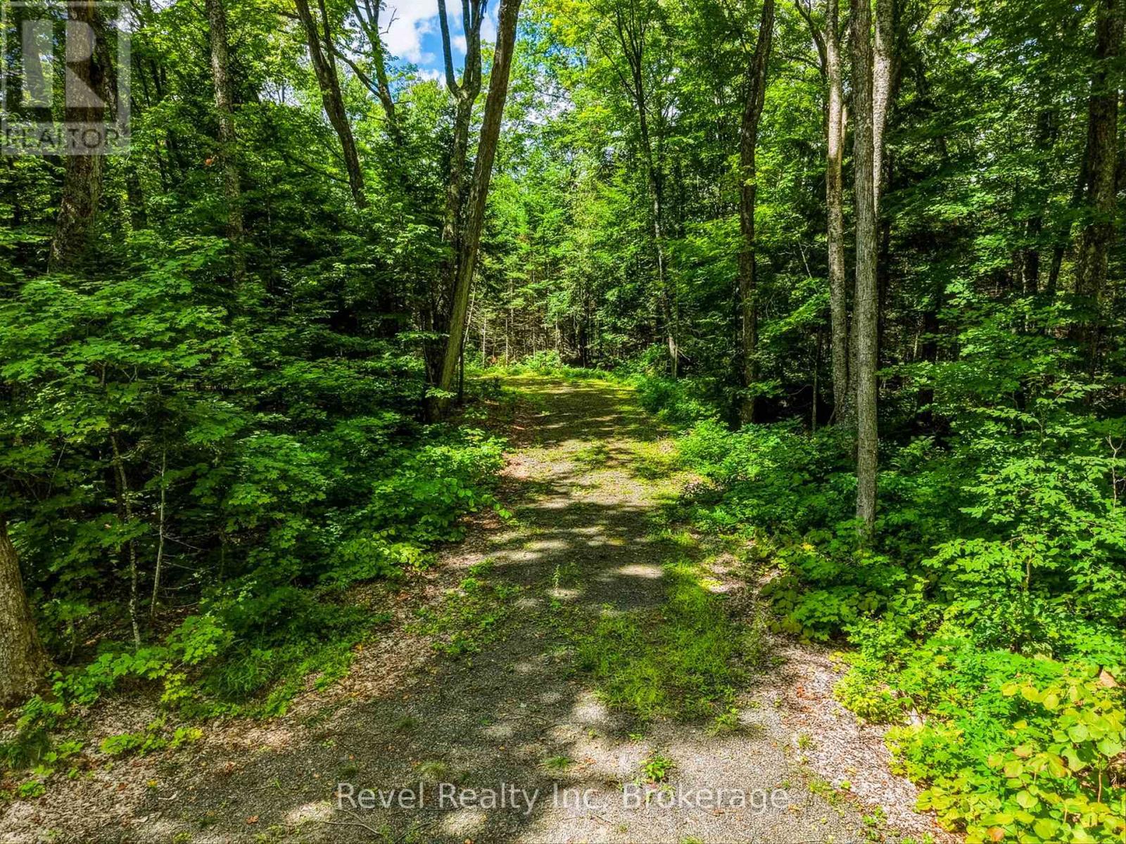 1054 Bird Lake Road, Bracebridge, Ontario  P1L 1X1 - Photo 6 - X13684186