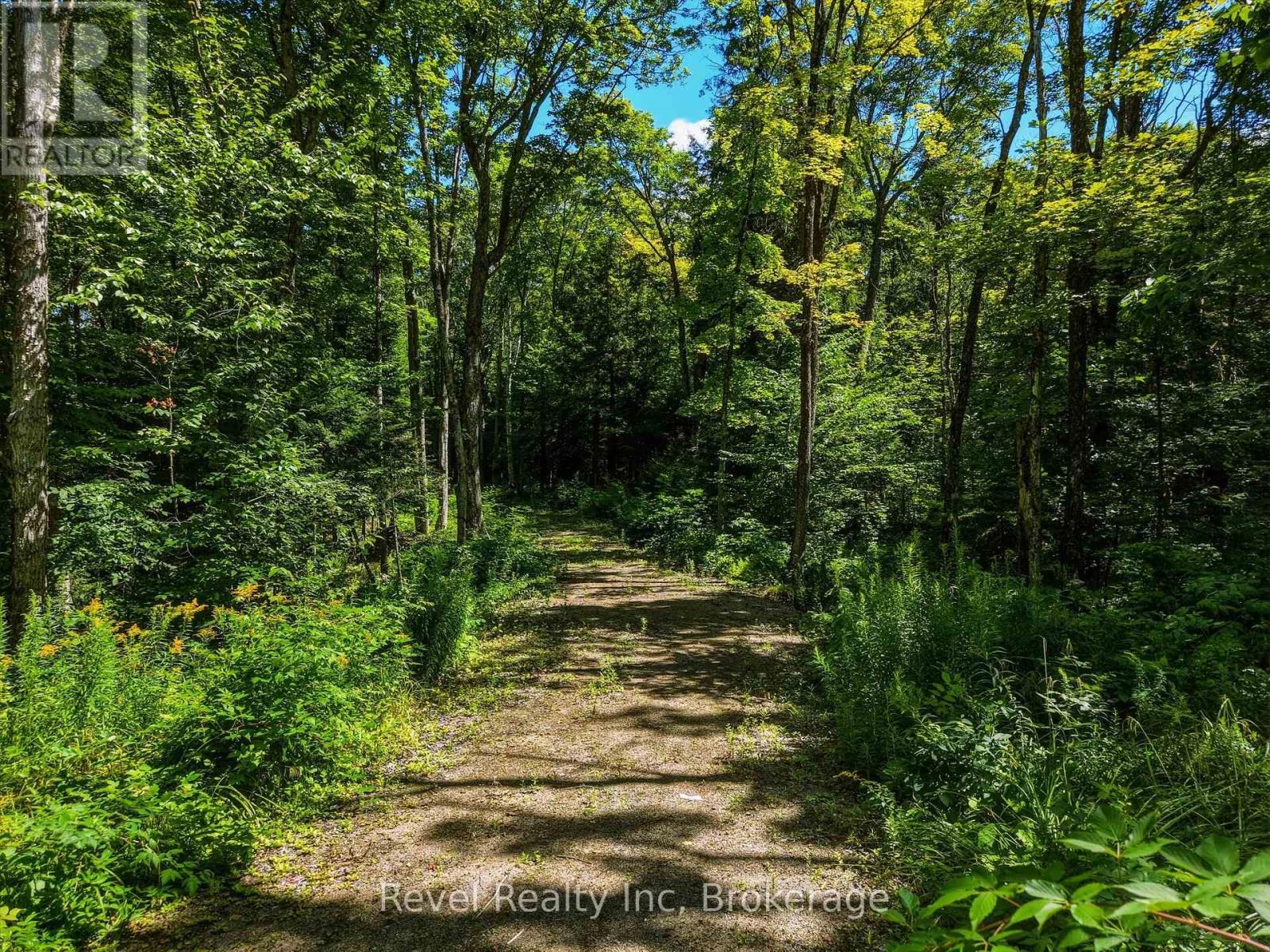 1054 Bird Lake Road, Bracebridge, Ontario  P1L 1X1 - Photo 7 - X13684186