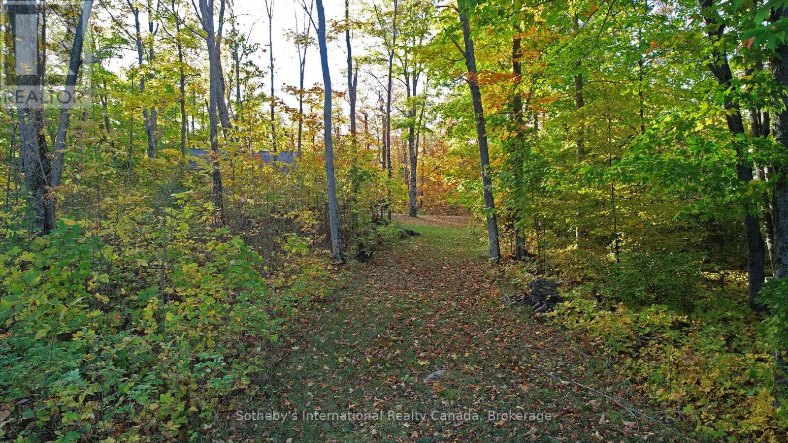 167 Maple Lane E, Central Manitoulin, Ontario  P0P 1S0 - Photo 31 - X13189858
