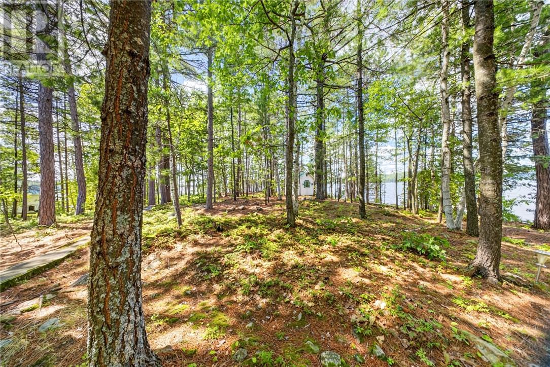 272 Island Unit# 3, Whitefish, Ontario  P0M 3E0 - Photo 27 - 2129849
