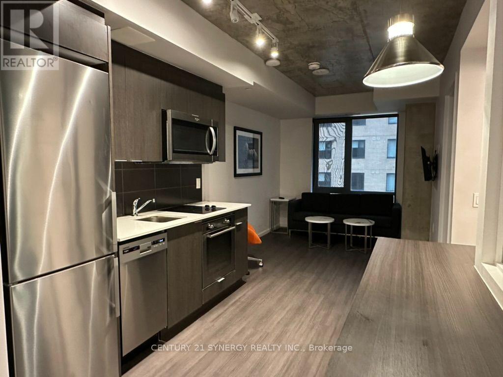2109 - 105 Champagne Avenue S, Ottawa, Ontario  K1S 4P3 - Photo 12 - X13684388